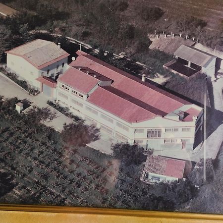 La Nursery De Mas Guillo San Quintín de Mediona Eksteriør billede